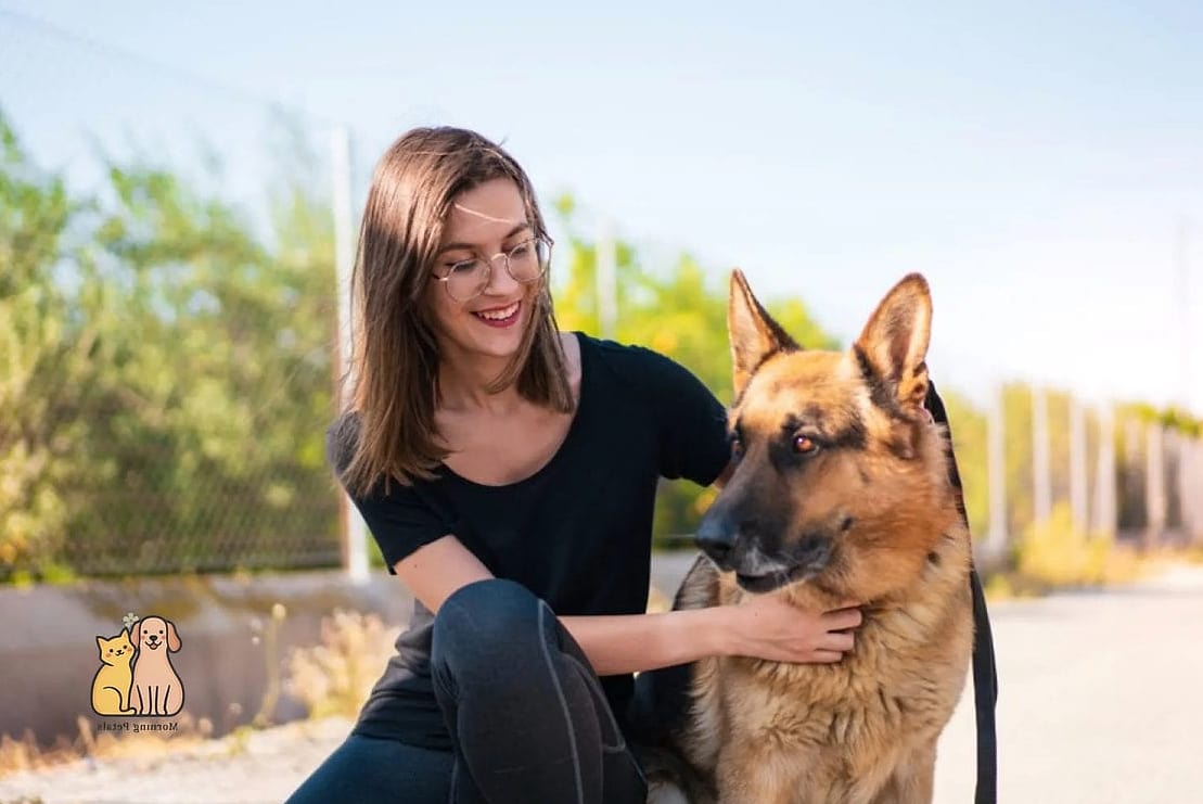 The German Shepherd Breed: That Will Change How You See Them 2 Why Pet Owners Love Them