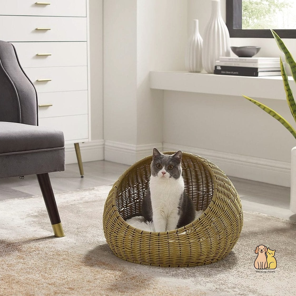 The Wicker Basket Bed with Cushion