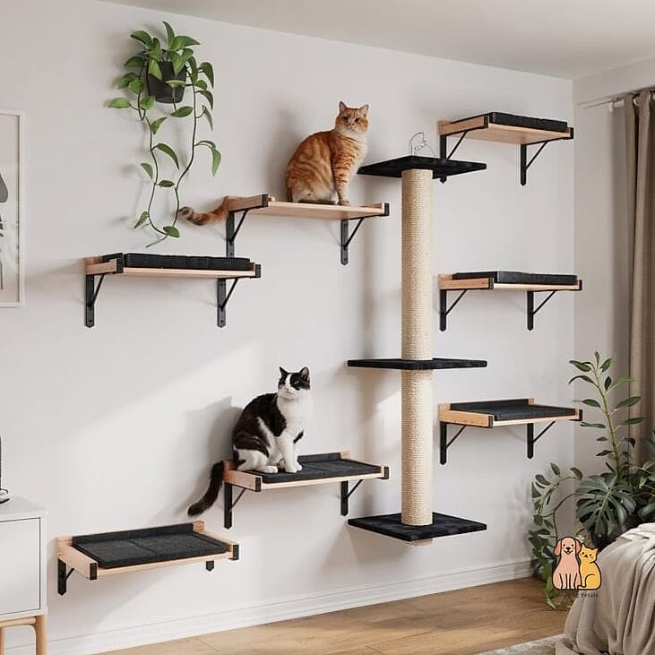 The Window-Adjacent Climbing Path