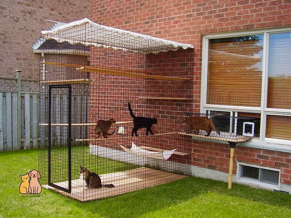 The Window Box Catio