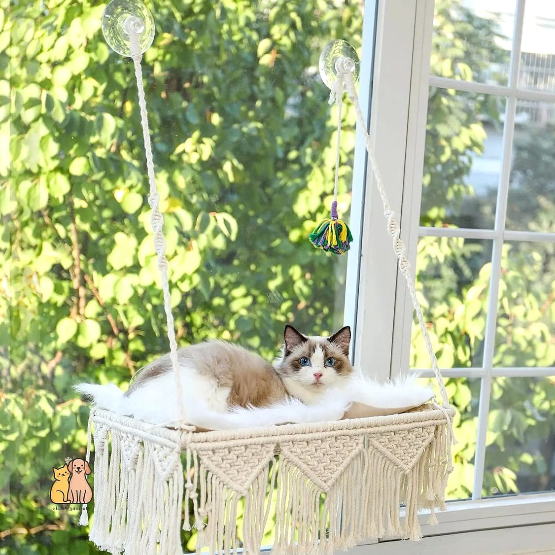 Window-Mounted Sunbathing Hammock