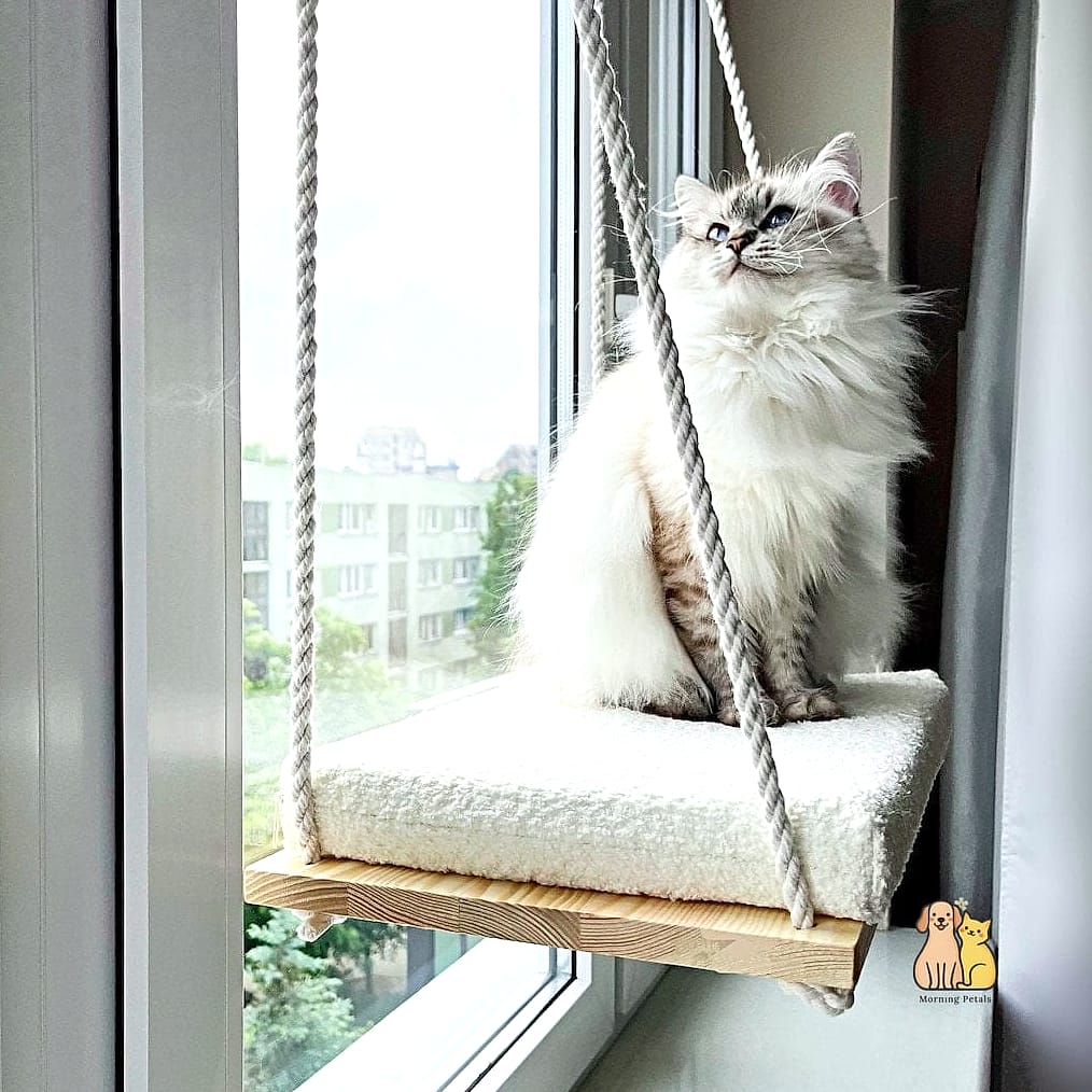 Window-Mounted Suction Cup Hammock