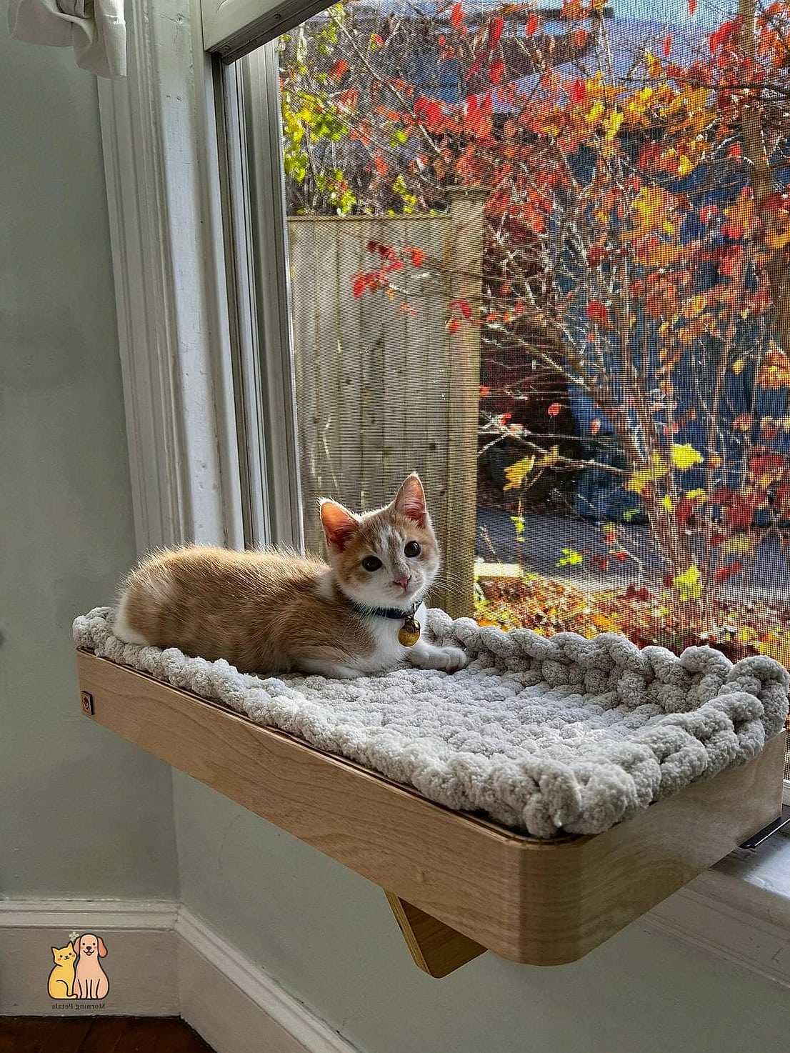 The Window Perch Hammock