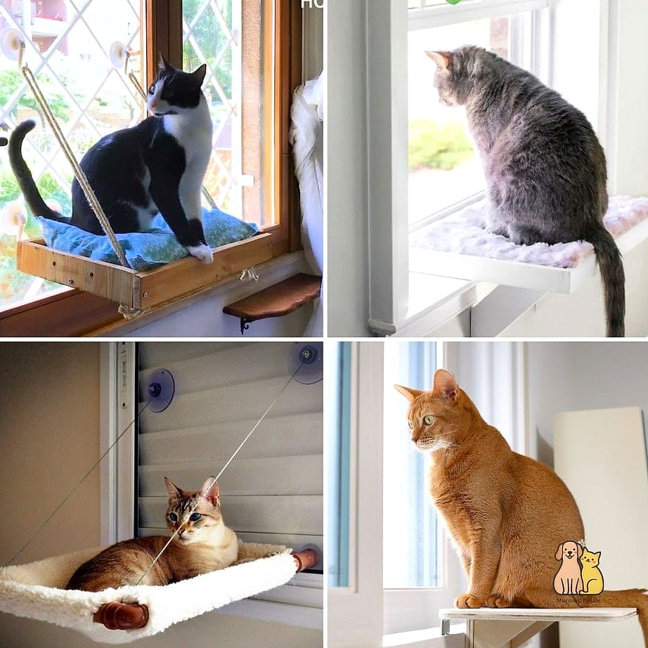 The Window Perch Hammock