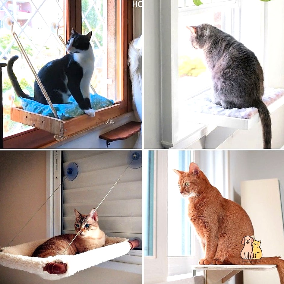 Window Perch from a Shelf Bracket