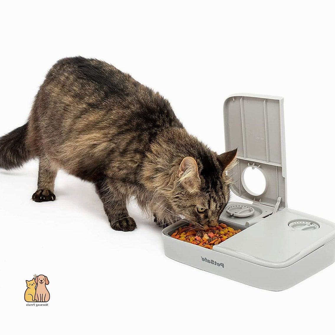 15 Genius Cat Food Setup Ideas Your Pet Will Beg For More 6 The Window Perch Feeding Spot