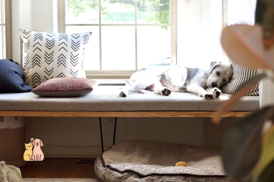 The Window Seat Crate Topper