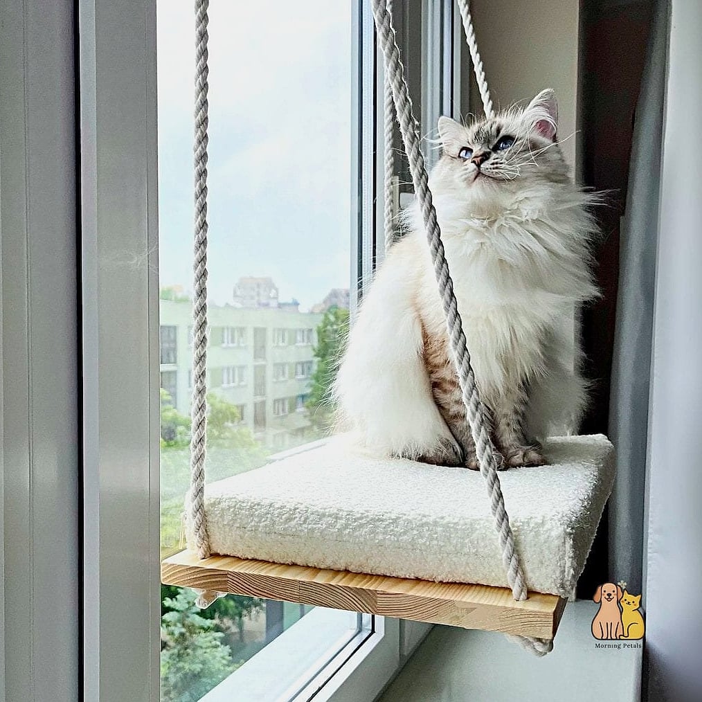 Window-Side Floating Perch