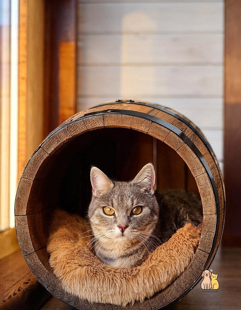 The Wine Barrel Bed