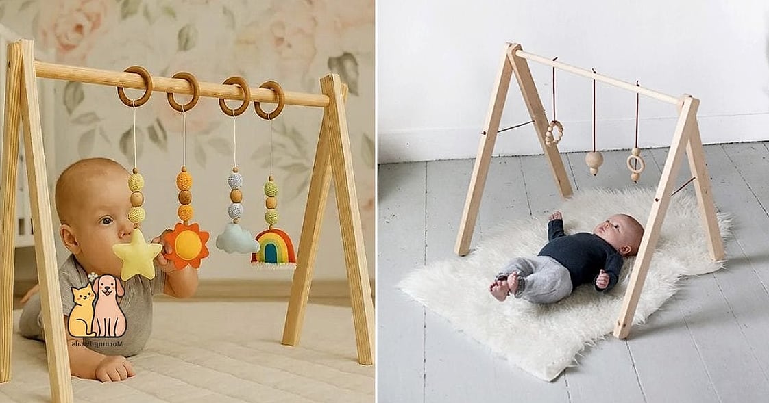 19 Budget-friendly Diy Dog Gate Ideas That Are Totally Worth It 10 Wooden Baby Fence Panels