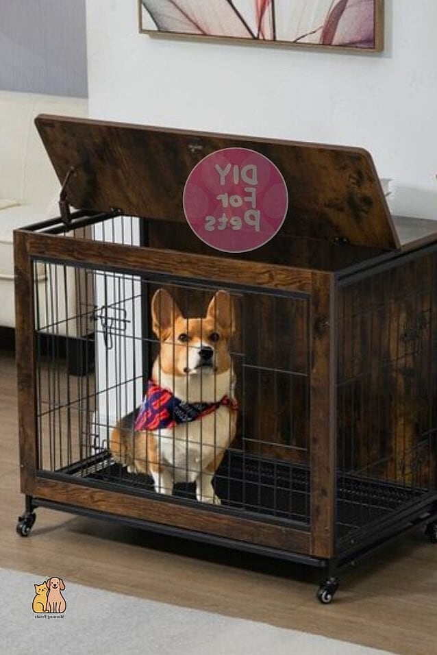 23 Budget-friendly Dog Bed Ideas For Living Room That Are Going Viral 4 The Wooden Crate Dog Bed