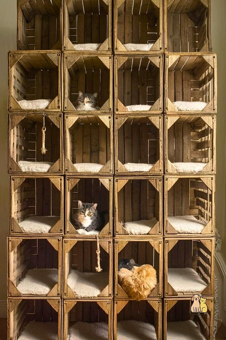 Wooden Crate Bunk Bed