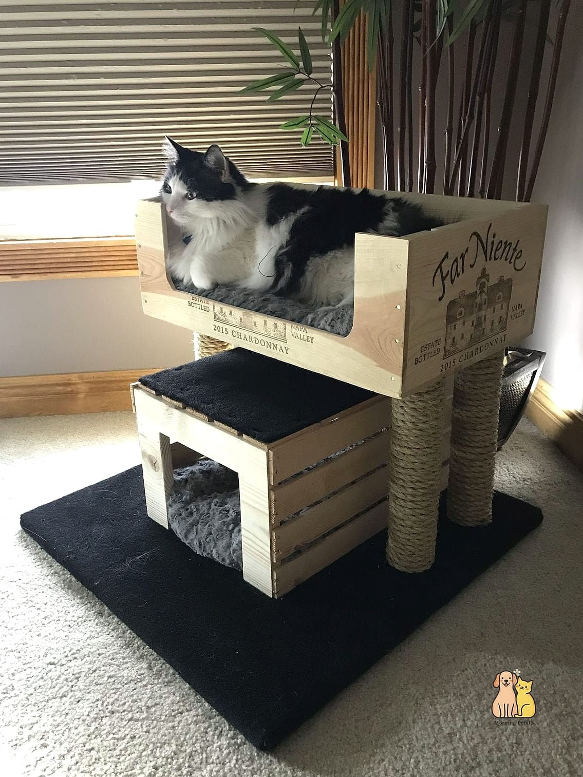45 Easy Diy Cat Condo to Try Right Now 16 The Wooden Crate Cubby Wall