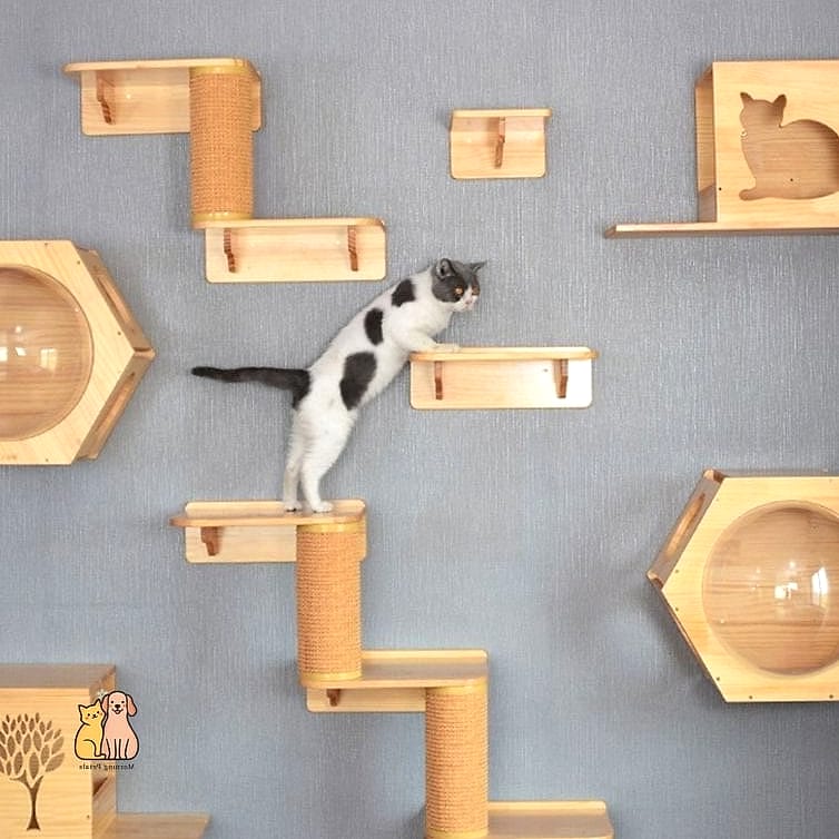 20 Brilliant Diy Cat Cave That Are Totally Worth It 5 Wooden A-Frame Cat House