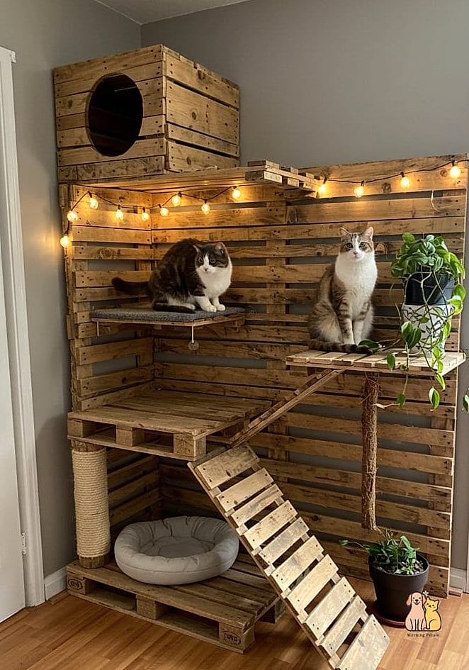 Wooden Frame Wall-Mounted Hammock