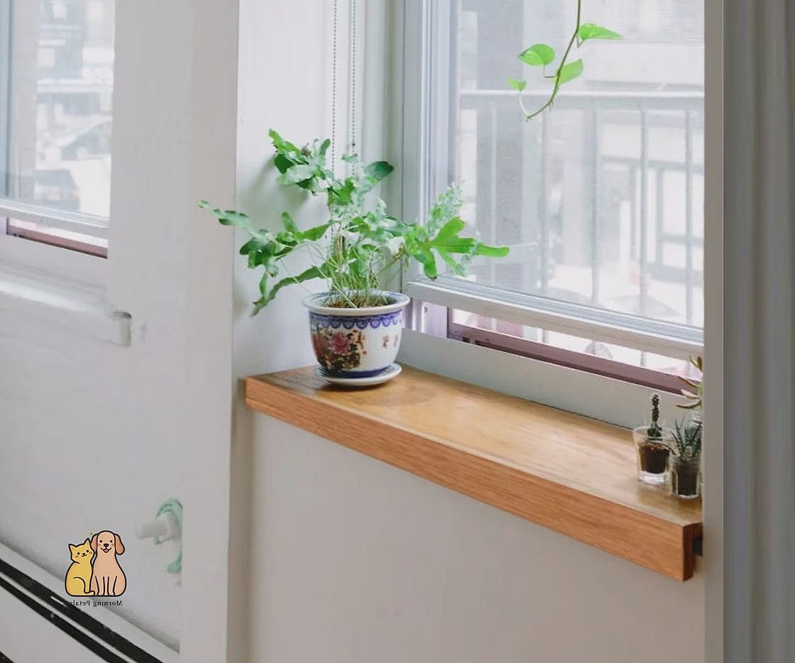 15 Gorgeous Small Window Catios That Prove Pets Are the Best 4 The Wooden Ledge Catio with a Slanted Roof