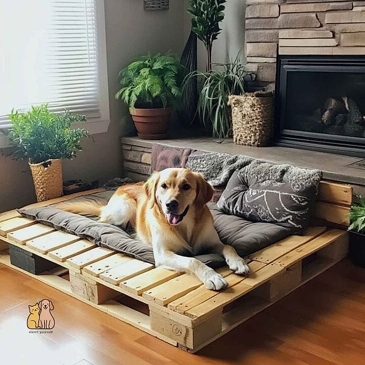 20 Brilliant Homemade Dog Bath Tub on a Budget 10 Wooden Pallet Raised Dog Tub