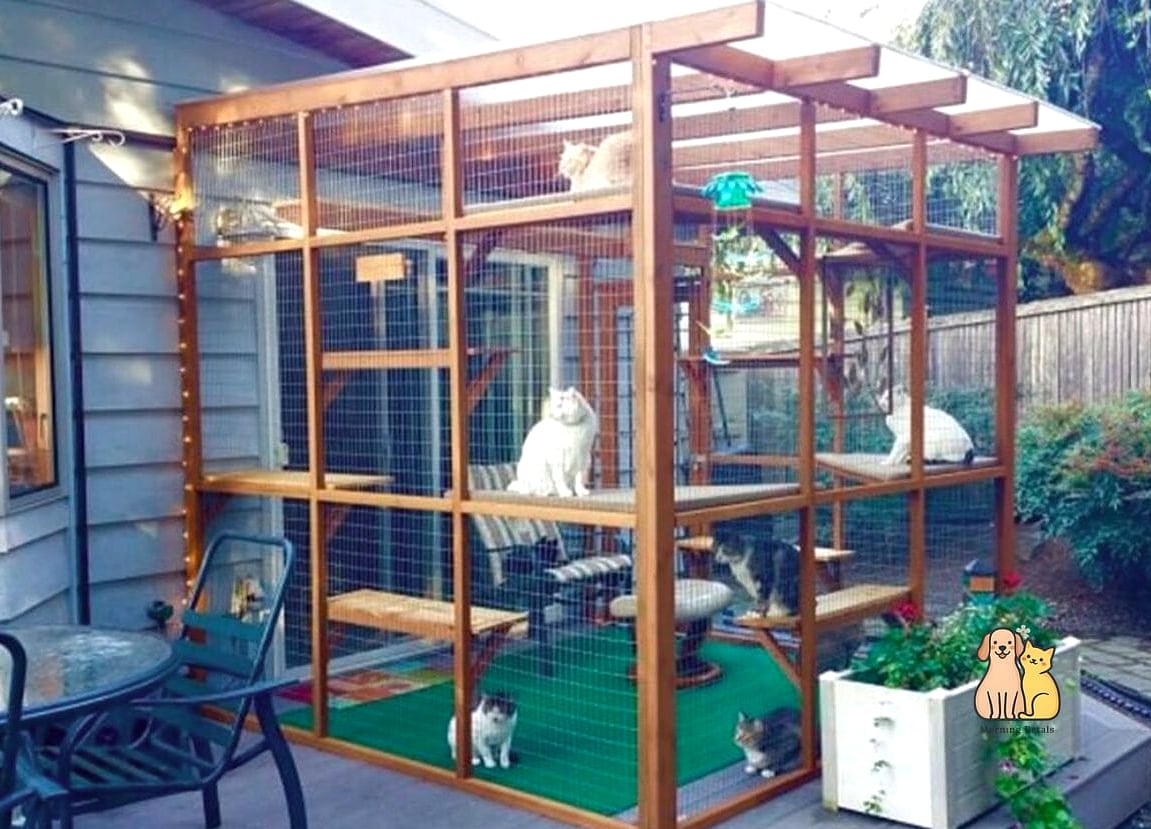 The Wraparound Deck Enclosure