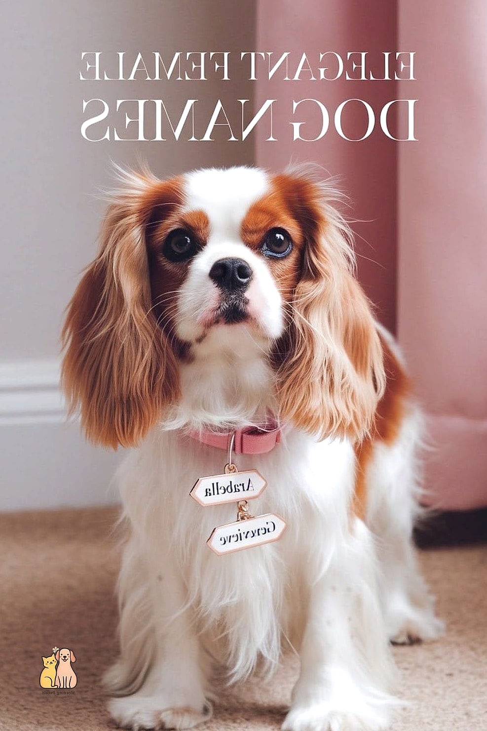 20 Female Dog Names That Are Totally Unique and Adorable 9 Wren