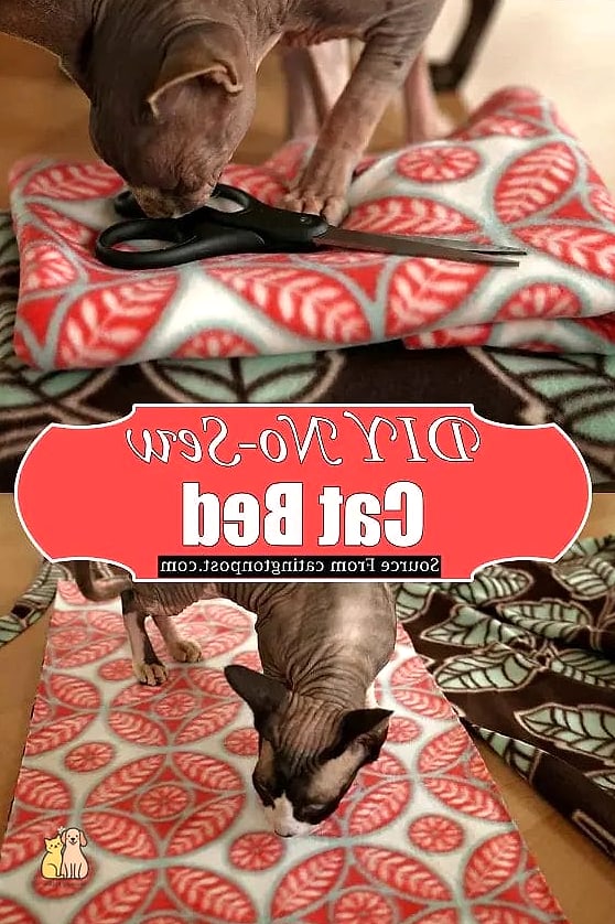 The Yoga Mat Roll Bed